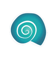 Ocean Spiral Sticker