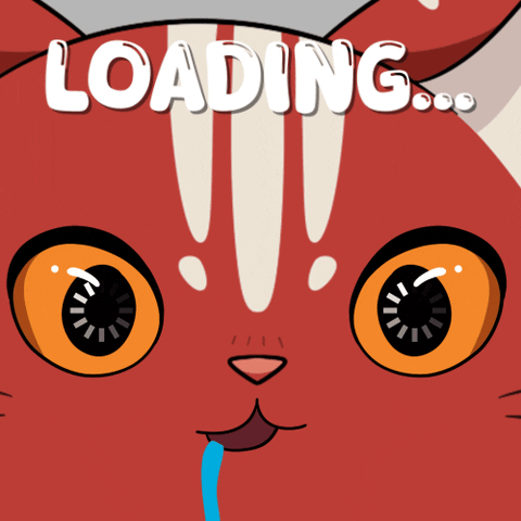 Cat Love GIF by Kitaro World