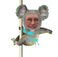 pole koala Sticker by MANGOTEETH