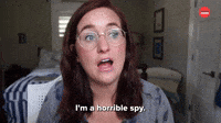 I'm A Horrible Spy