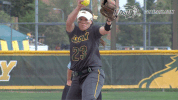 north dakota state bison GIF by NDSU Athletics