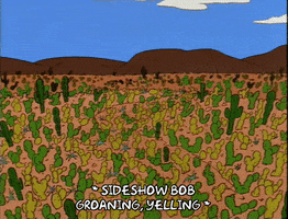 Season 5 GIF by The Simpsons