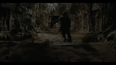 DoofusLaroo giphygifmaker GIF