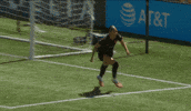 Goalcelebration GIF by National Women's Soccer League