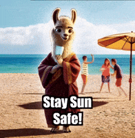 Summer Beach GIF by dalaillamazen