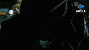 Warner Bros Movie GIF by MolaTV