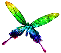 animations bug STICKER
