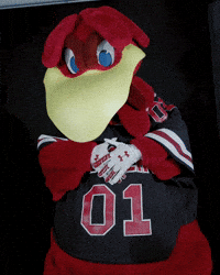 Mascot Superman GIF by University of South Carolina