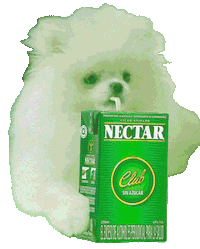 AguardienteNectarOficial nectar aguardiente guaro aguardientenectar Sticker