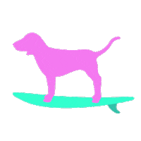dog surf Sticker by Victoria's Secret PINK