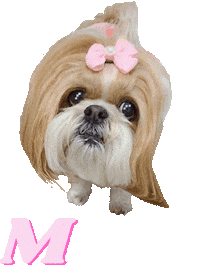 Pink Dog Sticker