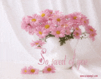 so sweet GIF