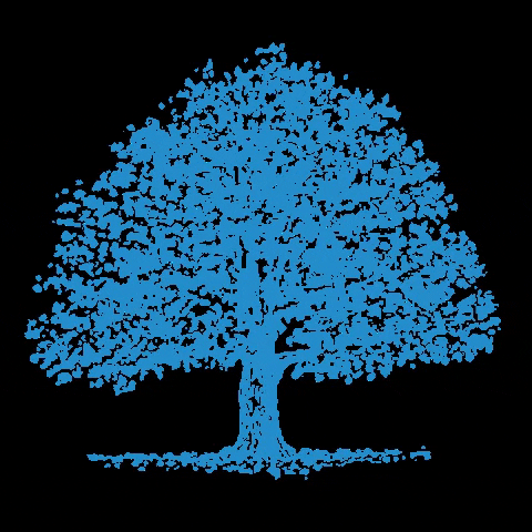 CVDV giphygifmaker carl cvdv carl van de velde GIF