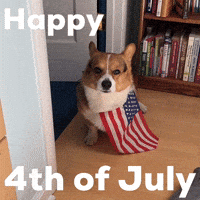 Happy 4Th Of July GIF
