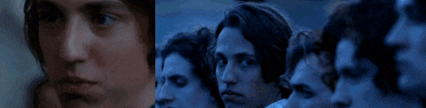 giphy.gif