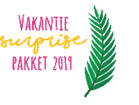 surprise diy Sticker by Wolplein.nl