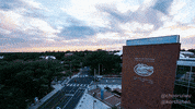 college football GIF by University of Florida