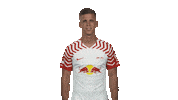 Happy Rb Leipzig Sticker by Bundesliga