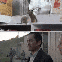 Let Them Fight Fighting GIF