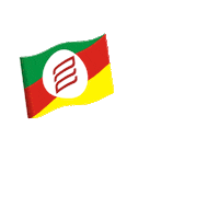 Rio Grande Do Sul Rs Sticker by 3tentos