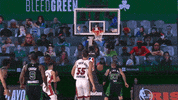 Miami Heat GIF by NBA G League
