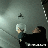 scared spider GIF