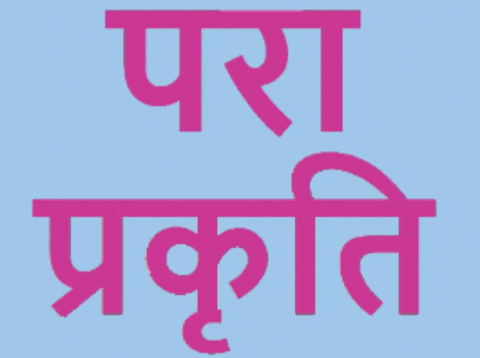 sorinelbalan giphyupload para prakriti GIF