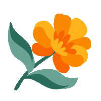 Flor 10Demayo Sticker by MoolMX