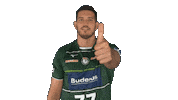 Handball-Bundesliga Sport Sticker by LIQUI MOLY HBL