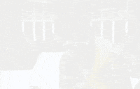 pretty girls like trap music GIF by 2 Chainz