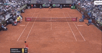 Shapovalov clean winner vs. Djokovic