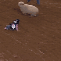 Sheep Emote GIF by Respective