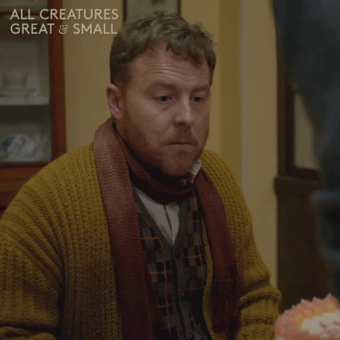 allcreaturestv animals nodding knitting scarf GIF