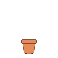 Flower Pot Sticker by Scentsy