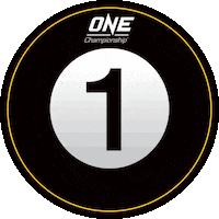 Mixed Martial Arts Fight Sticker by ONE Championship
