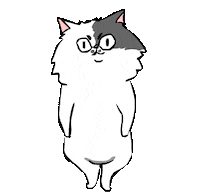 cat respect Sticker by bimay