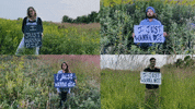 Climate Change Environment GIF by Lake Street Dive