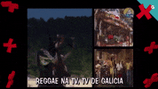 Xabarin Tvg GIF by TVGalicia