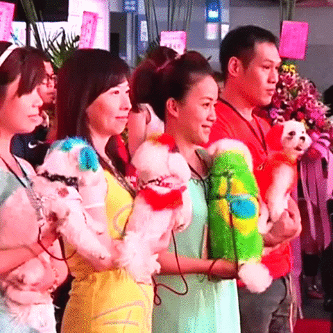 GIF by NowThisNewsTV