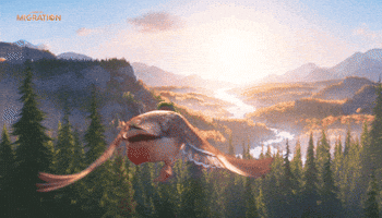 MigrationMovie animation duck sunset marriage GIF