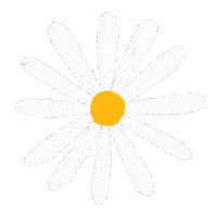 Diy Doityourself Sticker by La Petite Epicerie