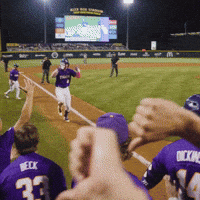 College Sports Baseball GIF by LSU Tigers
