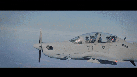 Plane Airplane GIF by el