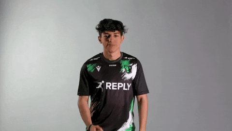 GIF by Reply Totem
