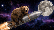PICTON_Investments bear rocket good luck blast off GIF