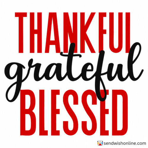 Happy Thanksgiving Ecards GIF by sendwishonline.com