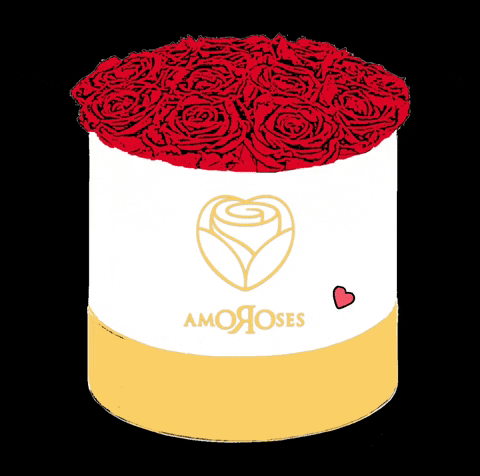 Amoroses giphyattribution love rose roses GIF