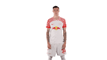 Football What Sticker by RB Leipzig