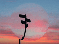 You Can Wow GIF by FranchiseONE.de