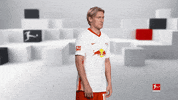 Posing Line Up GIF by Bundesliga